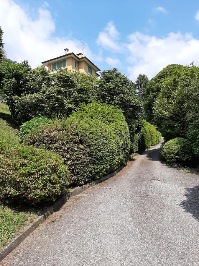 Bmp Apartment Gioiosa 2 Giardino Vista Lago Maggiore Бельджирате Экстерьер фото